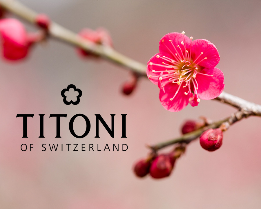 Logo thương hiệu Titoni - ảnh 5