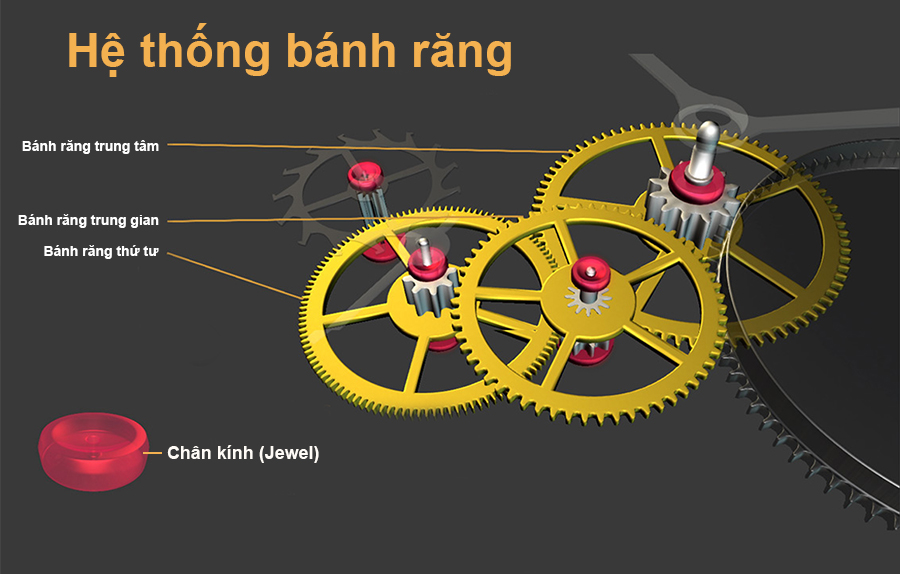 hệ thống bánh răng truyền động trên đồng hồ cơ