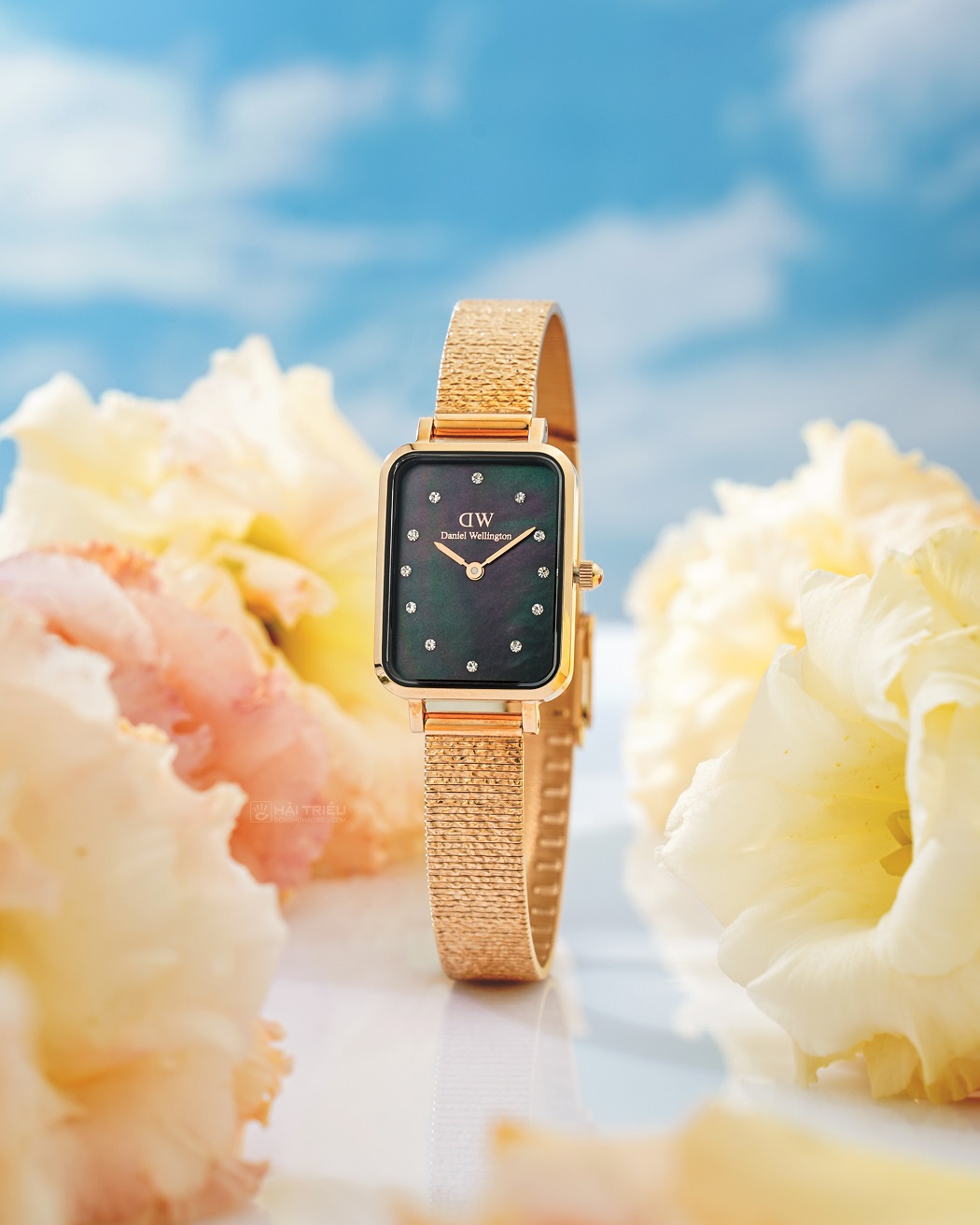 đồng hồ nữ dây da mặt chữ nhật Daniel Wellington DW00100579
