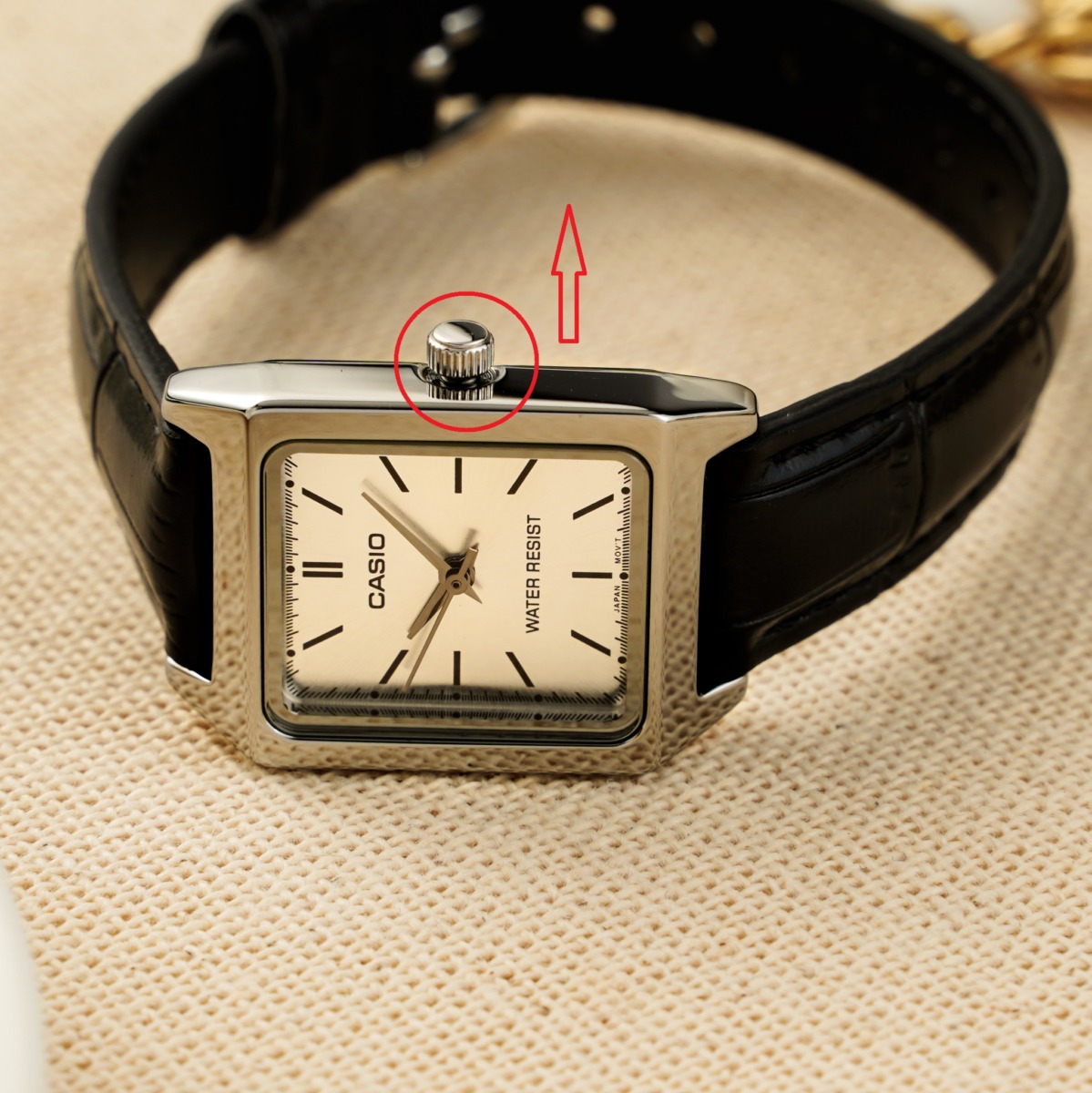 Đồng hồ Casio Quartz nữ chính hãng