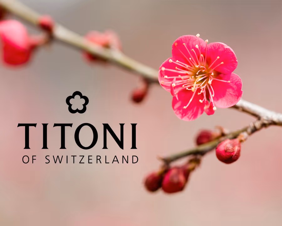 Đồng hồ đôi ảnh 4