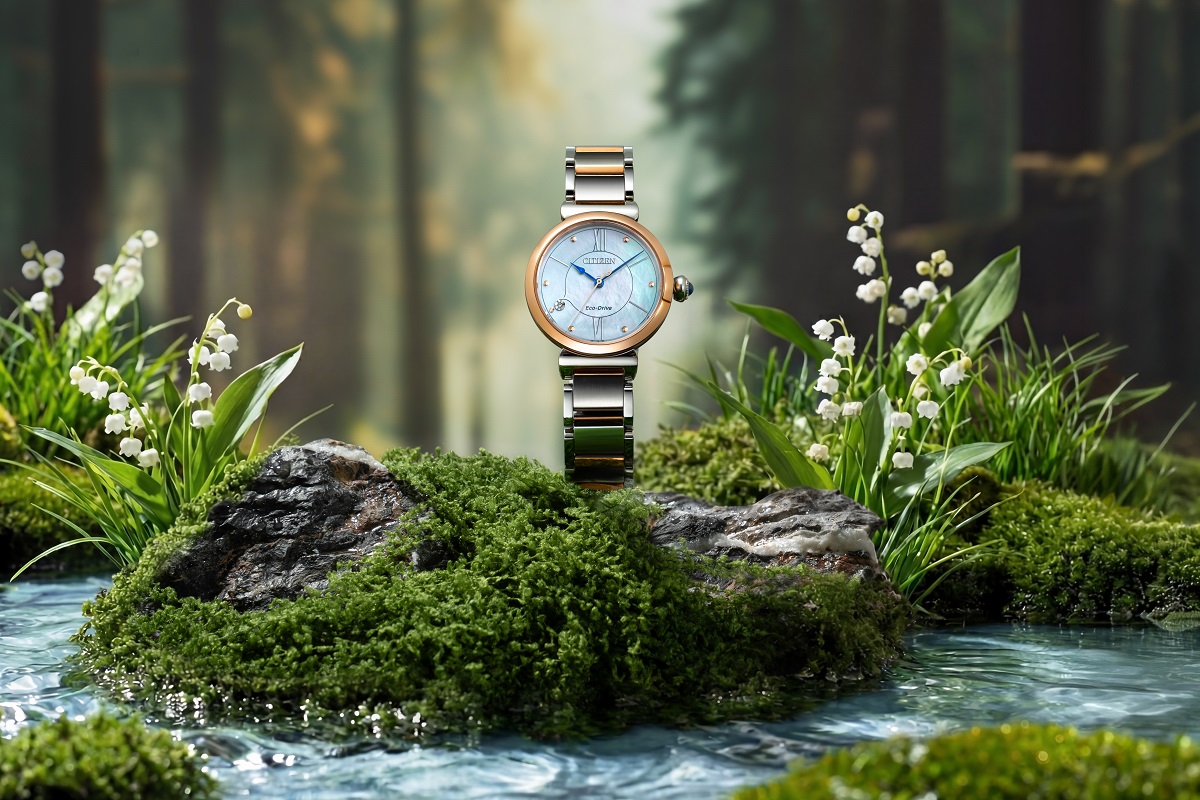 Đồng hồ Citizen L EM1074-82D - Ảnh 1