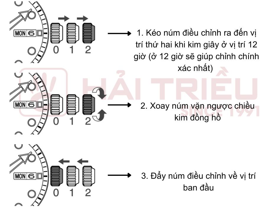 Cách chỉnh giờ đồng hồ Seiko năng lượng mặt trời đúng chuẩn