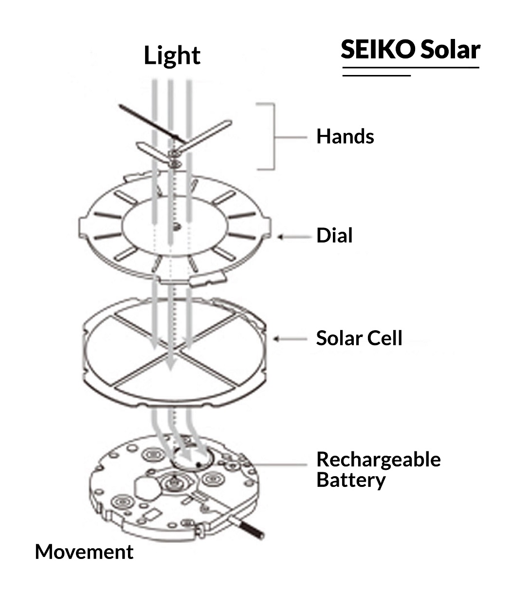 Cách hoạt động của Seiko Coutura Solar