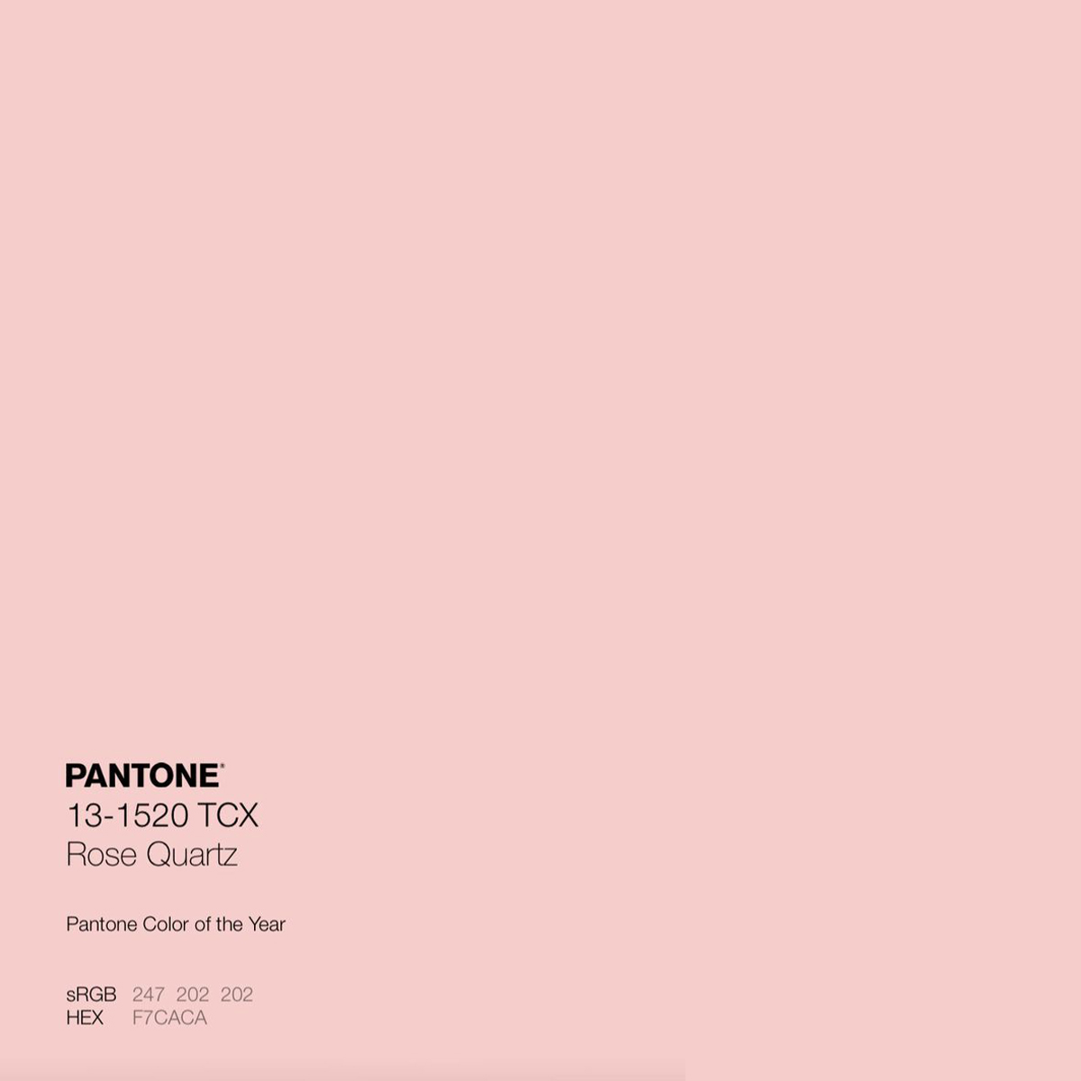Patone vinh danh màu sắc vàng hồng Rose Quartz là màu sắc của năm