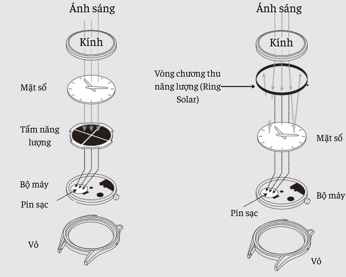 Cách hoạt động thu năng lượng của đồng hồ Citizen Eco-Drive