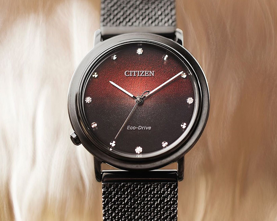Phiên bản EM1003-48X đại diện cho đất - kỷ niệm 10 năm ra đời BST Citizen L