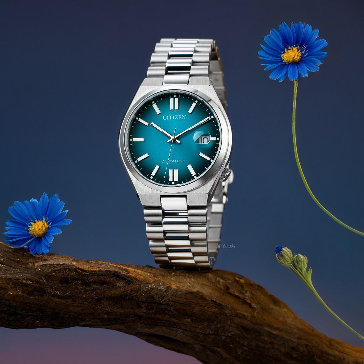 Citizen Xanh lá Ombre (Fumé)