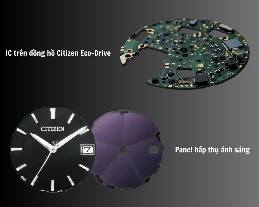 IC và Panel hấp thụ ánh sáng trên đồng hồ Citizen Eco-Drive
