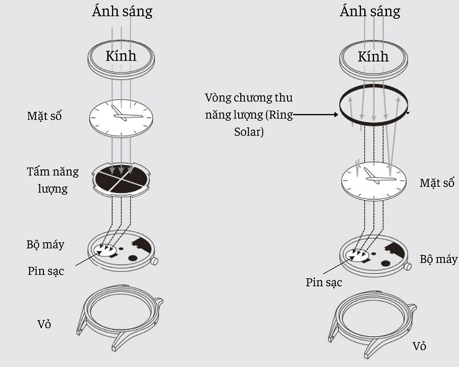 Tùy vào mẫu mà có tấm năng lượng dạng tròn dưới mặt số hoặc dạng vòng