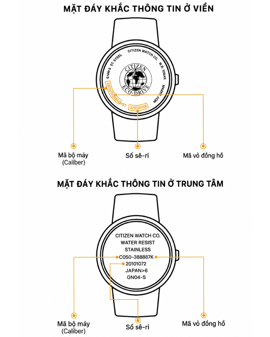 Sơ đồ minh họa vị trí khắc mã bộ máy, số sê-ri và mã vỏ ở phần viền hoặc trung tâm nắp đáy đồng hồ Citizen giúp người dùng dễ dàng tra cứu.