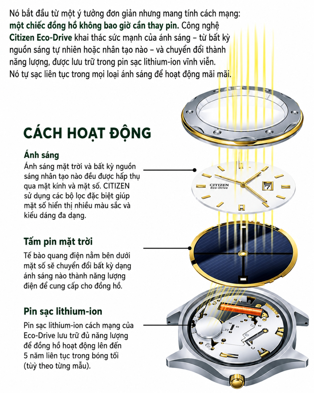 Sơ đồ nguyên lý hoạt động của bộ máy Citizen Eco-Drive hấp thụ ánh sáng.