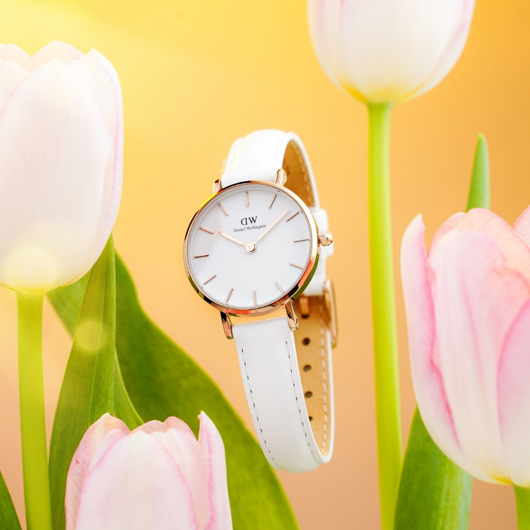 Đồng hồ DW dây da