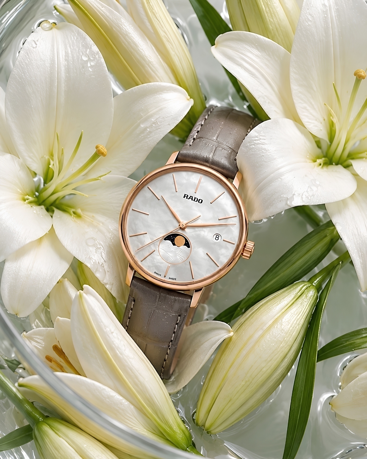 Cận cảnh mẫu đồng hồ Rado R22885945.
