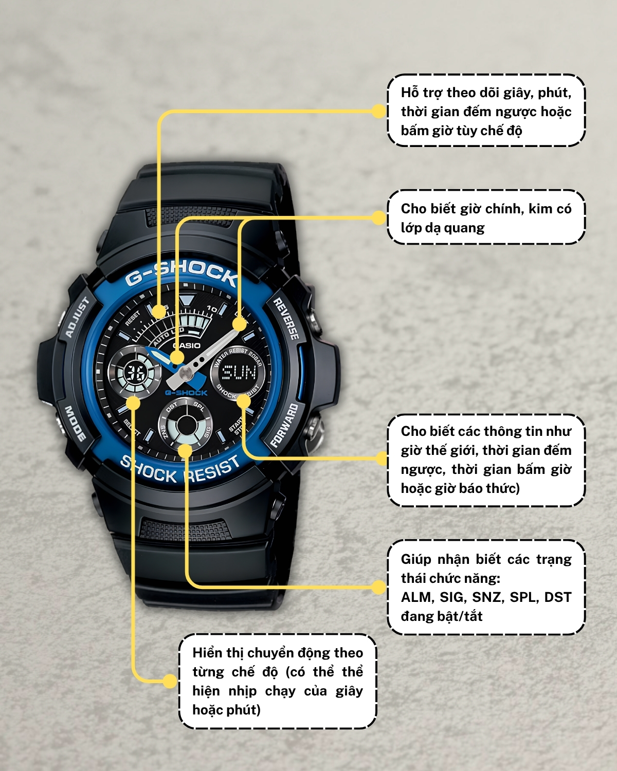 Các thông tin hiển thị trên mặt đồng hồ G-Shock AW 591.