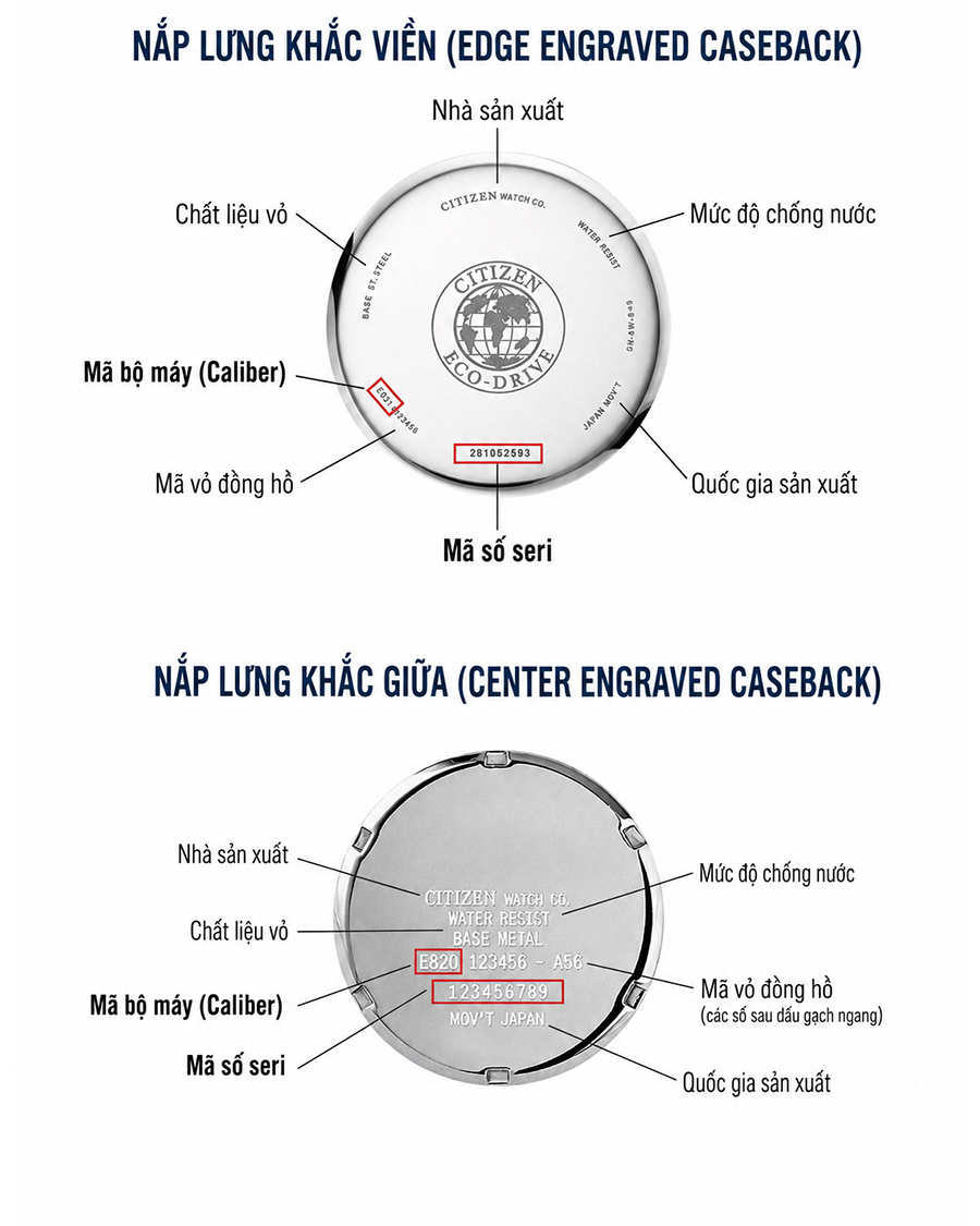 Sơ đồ minh họa vị trí mã máy, số seri và các thông số trên hai kiểu nắp lưng đồng hồ Citizen giúp người dùng dễ dàng tra cứu.