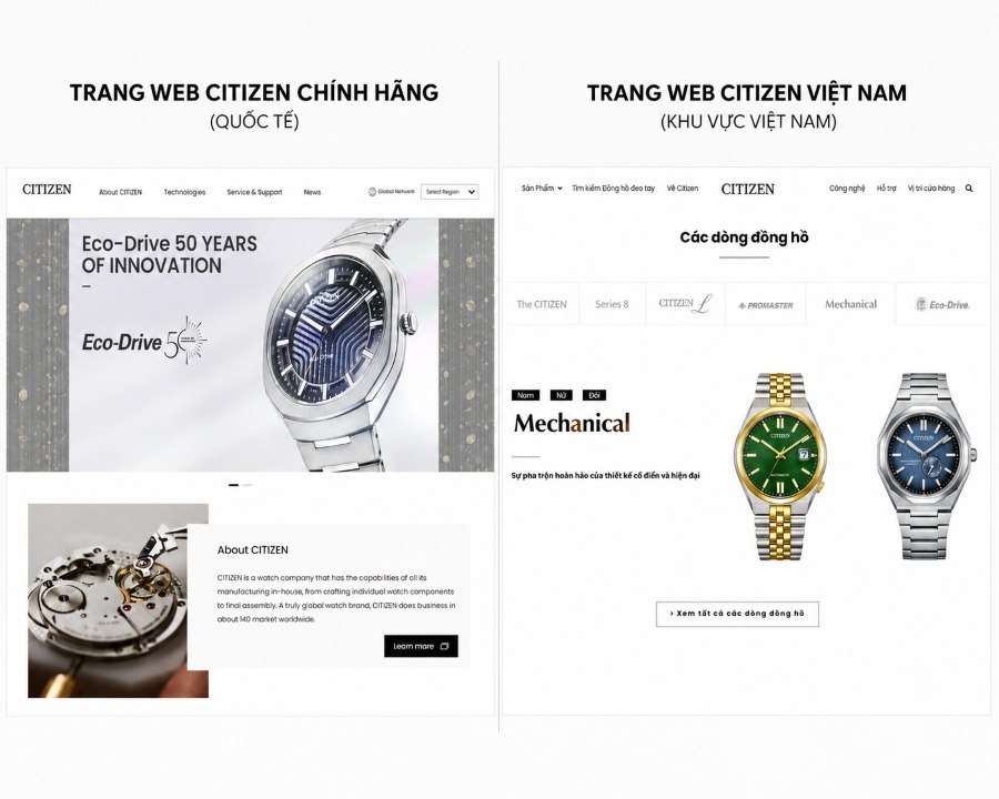 So sánh hai trang web Citizen toàn cầu và Citizen Việt Nam.