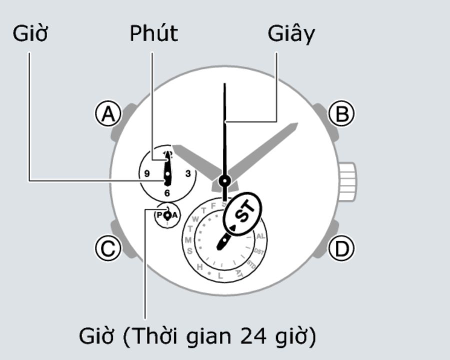 Hướng dẫn sử dụng chế độ bấm giờ