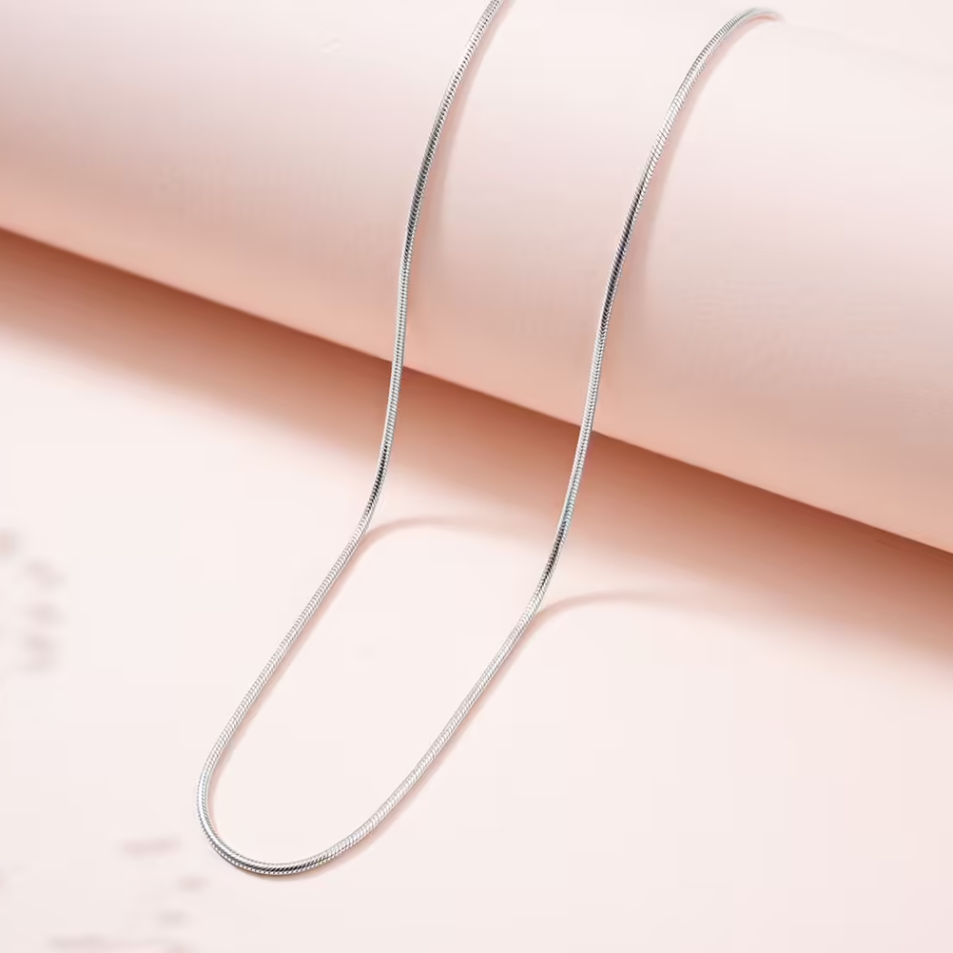 Dây chuyền Daniel Wellington Snake Chain